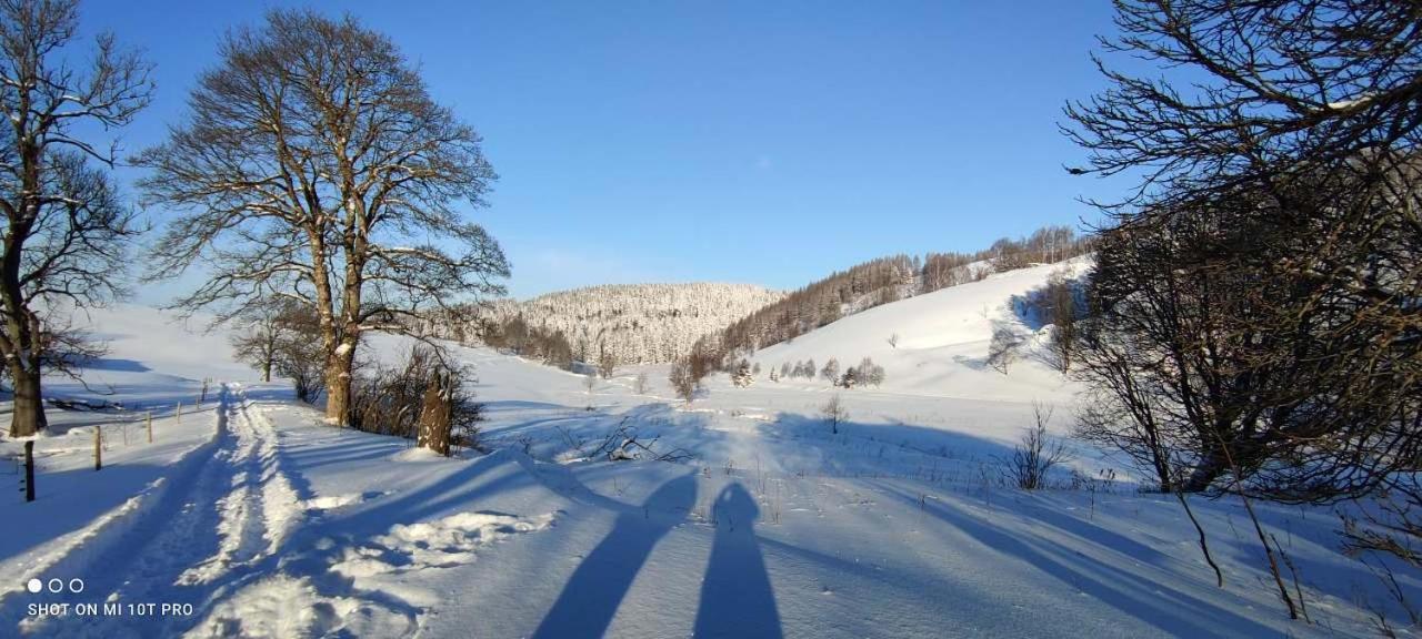 Holiday Home Moldava 외부 사진